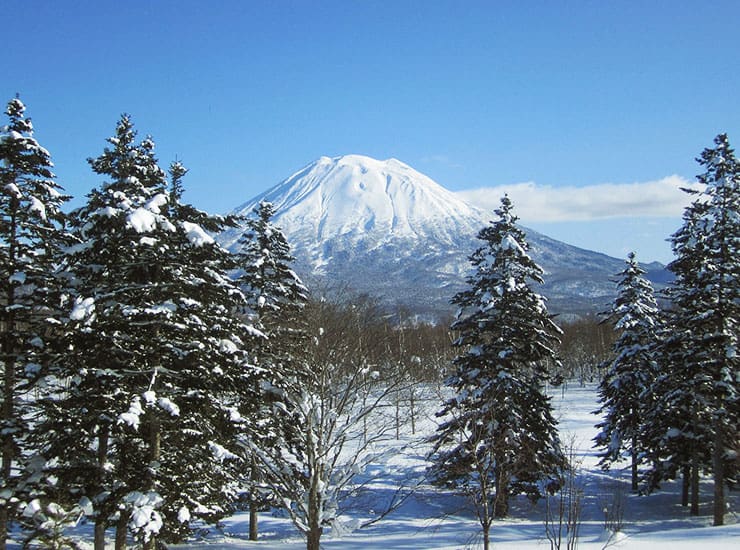 游玩四季绝景