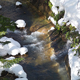 Upon being welcomed by a small stream, your peaceful and comforting time here will begin.